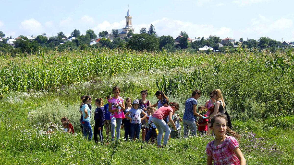 Nyelvőrző gyermektábor Pusztinán